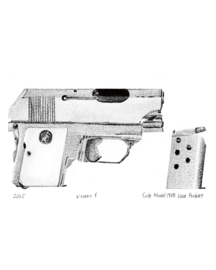 colt model 11908 vest pocket - Vincent. F