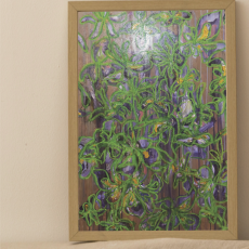 보란잎에 노란 봉오리 - 쿠로하