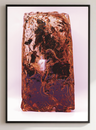 기억체 - 어누리